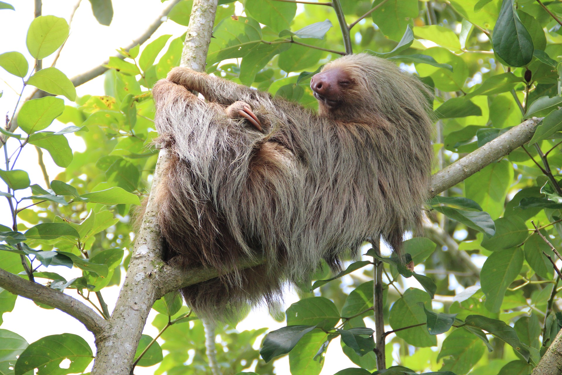 Luxury line Regent Seven Seas launches amazing list of eco shore excursions