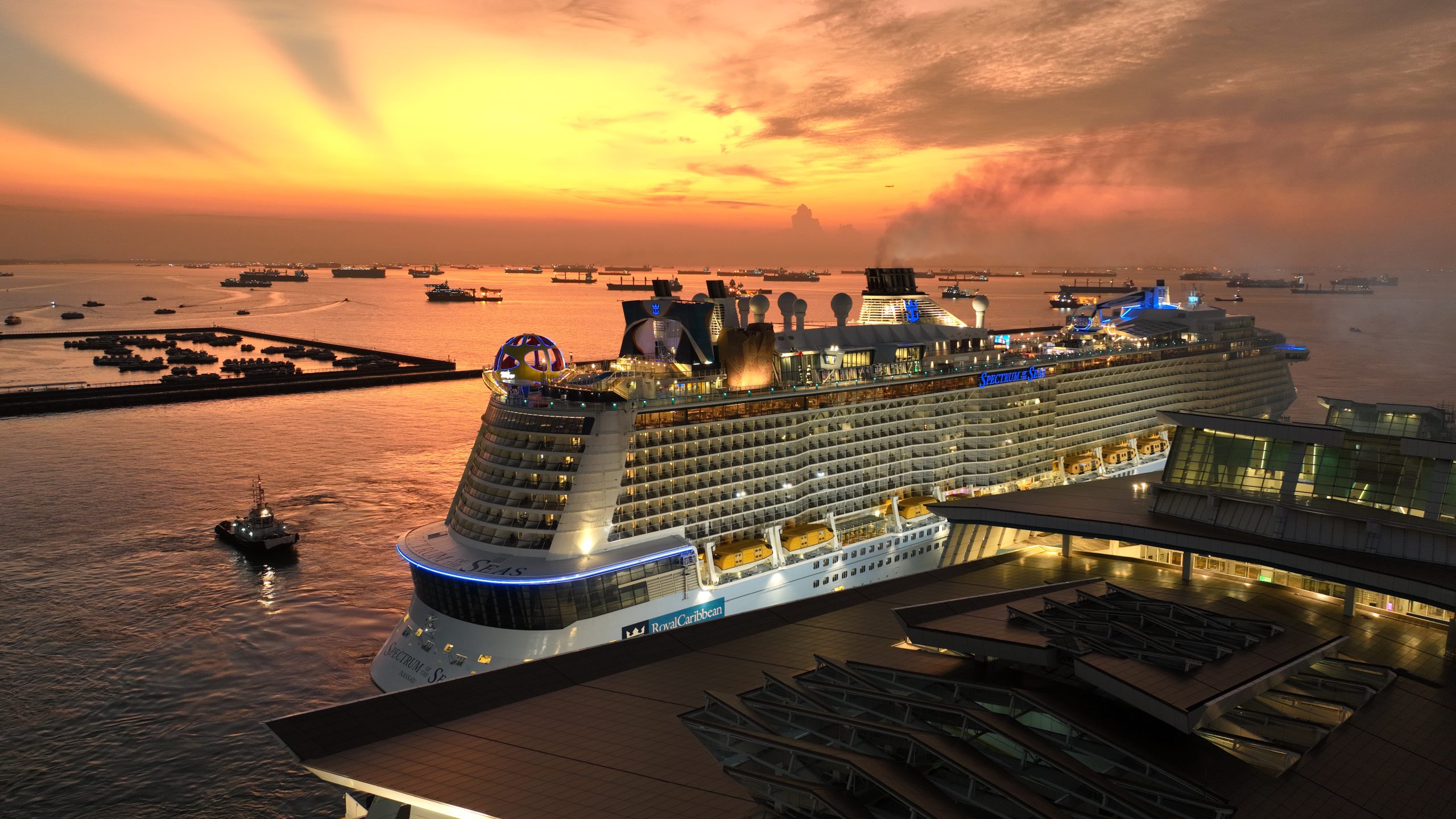 Want to grab a cruise on a mega ship right now? Here's how you can do it