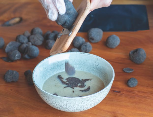 sampling truffles at Tasmanian Truffles copy