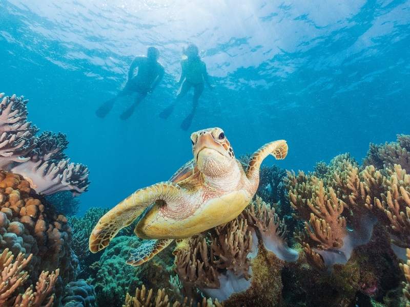 Discover more on this 18-night Fly, Stay & Cruise holiday of a lifetime for as little as $138 per person per night