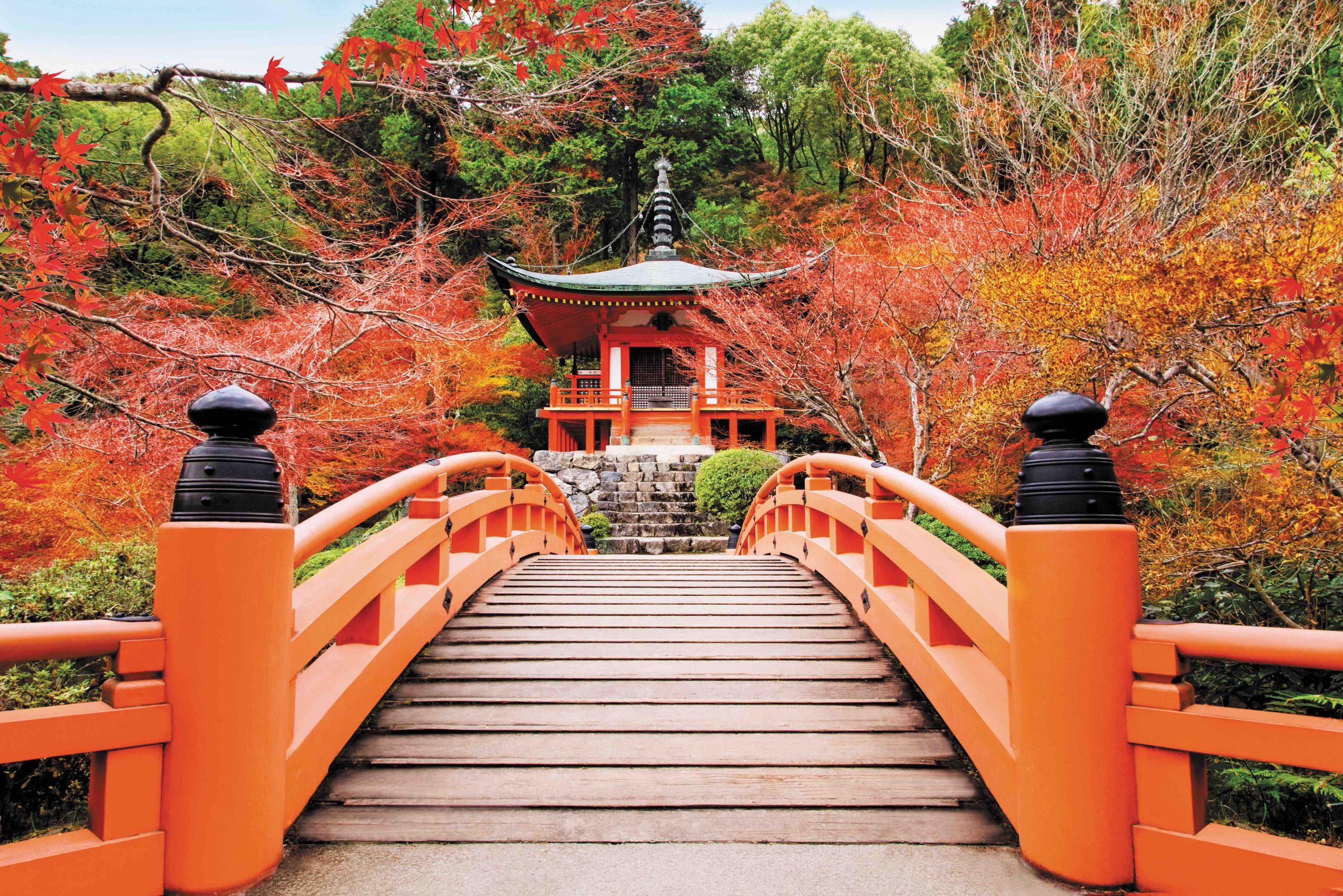 Kyoto Daigoji temple. Famous temple with autumn color leaves and cherry blossom in spring in Kyoto