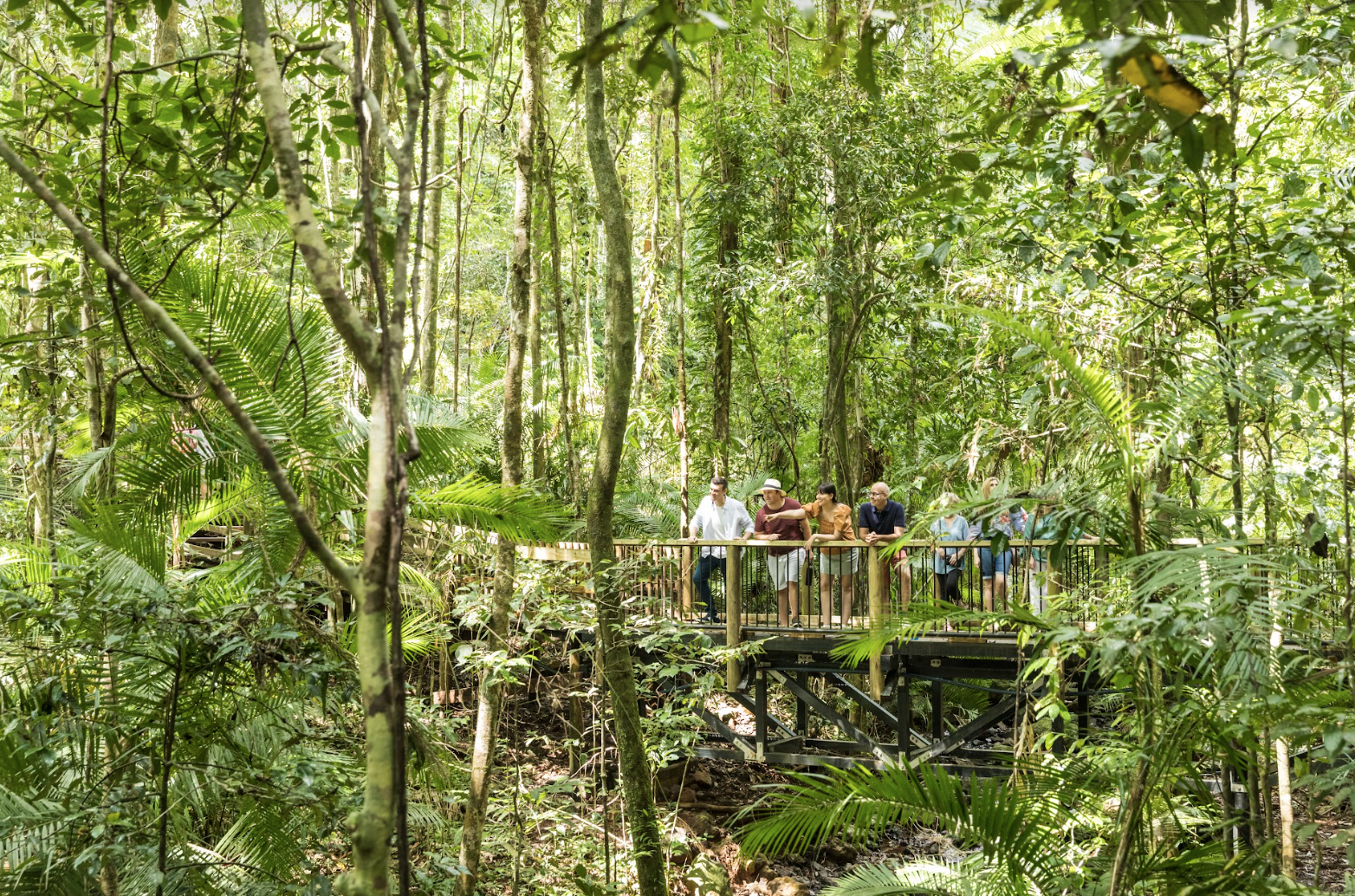 CelebrityEclipsePrivateJourneysMossmanGorge