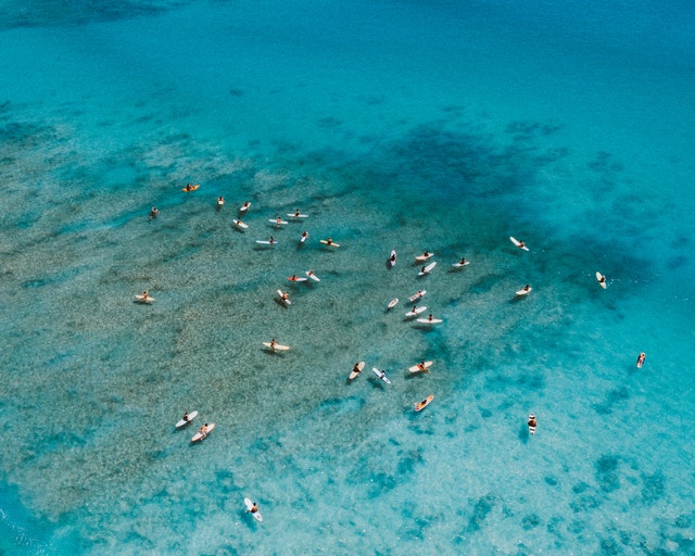 hawaii surfing