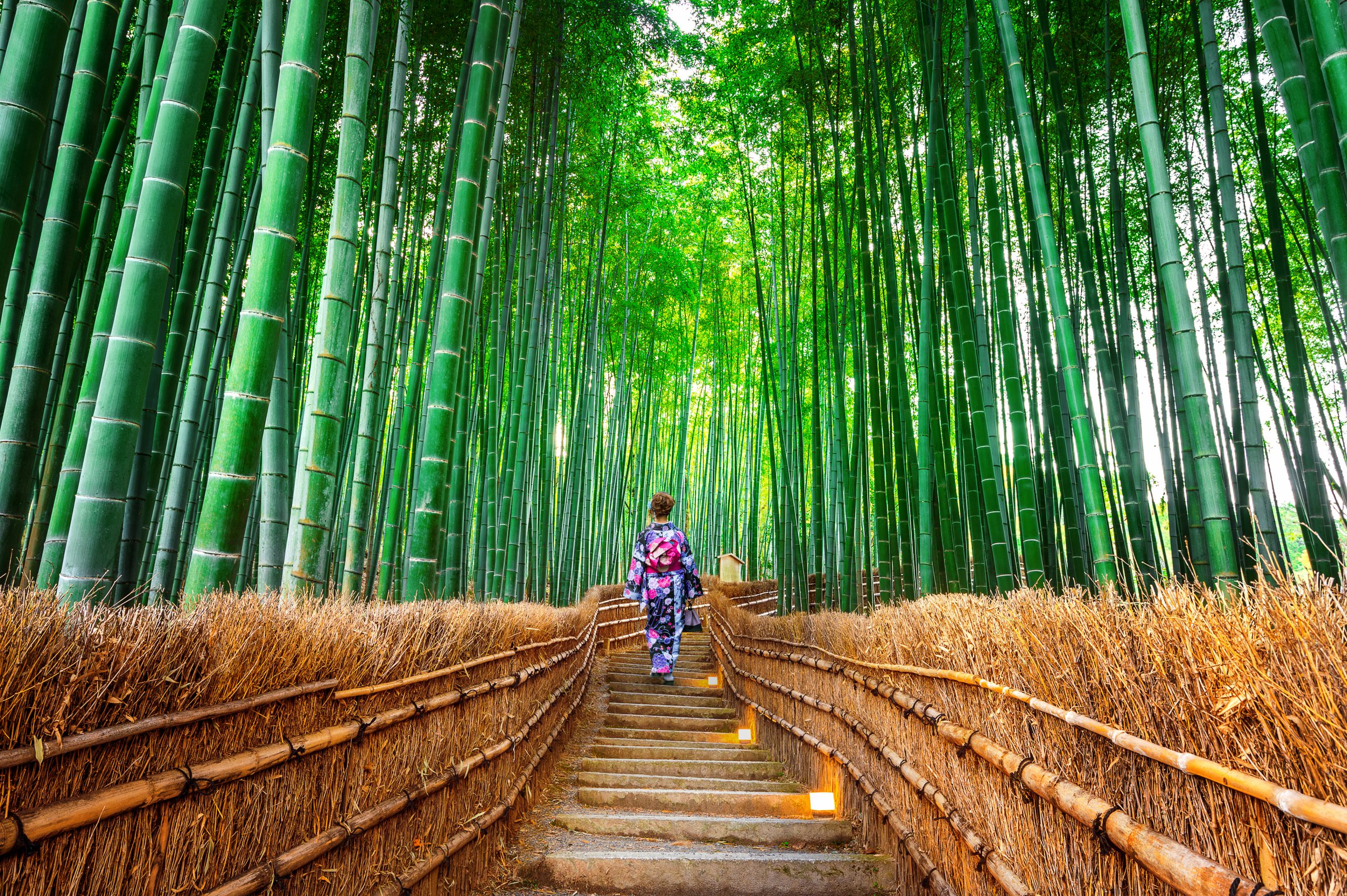 Fall in love with the mystical East onboard the luxurious Regent Seven Seas Cruises' Grand Asia Exploration Voyage