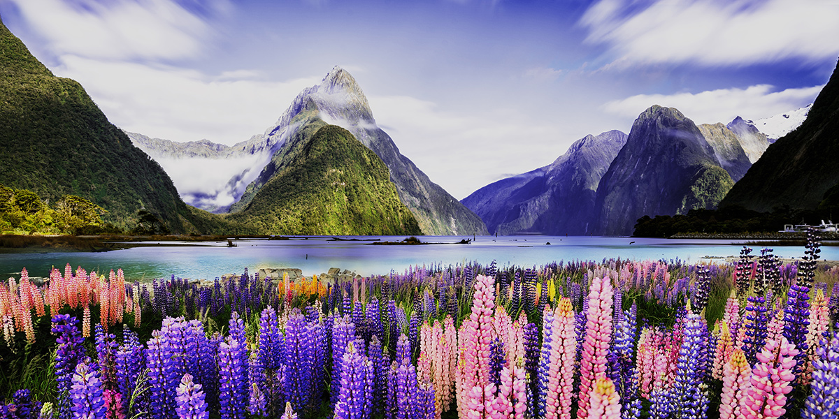 Go on a cruise holiday onboard Westerdam to New Zealand for as little as $119 per person per night saving up to $1300* per couple