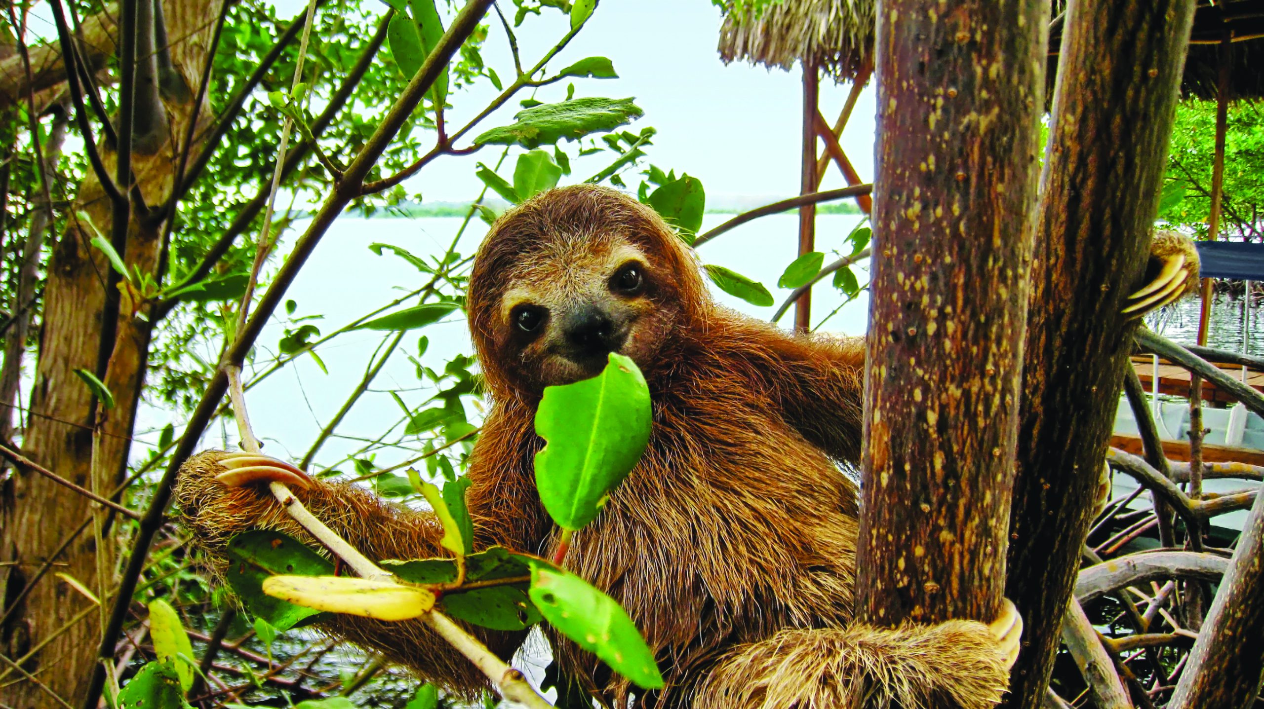 Regent eco-friendly shore excursions
