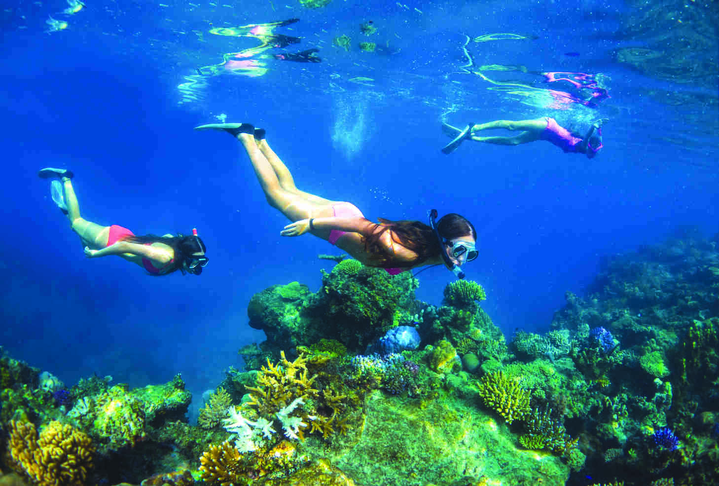 snorkel