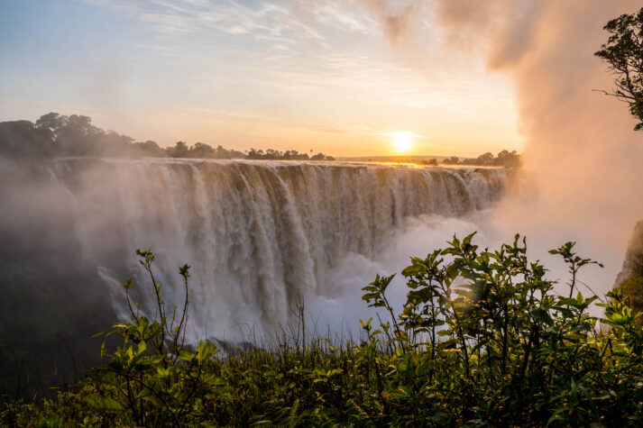 shutterstock 1170297610