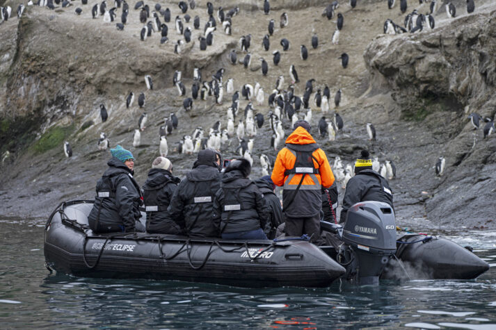 Zodiacs in Antarctica with Scenic Eclipse