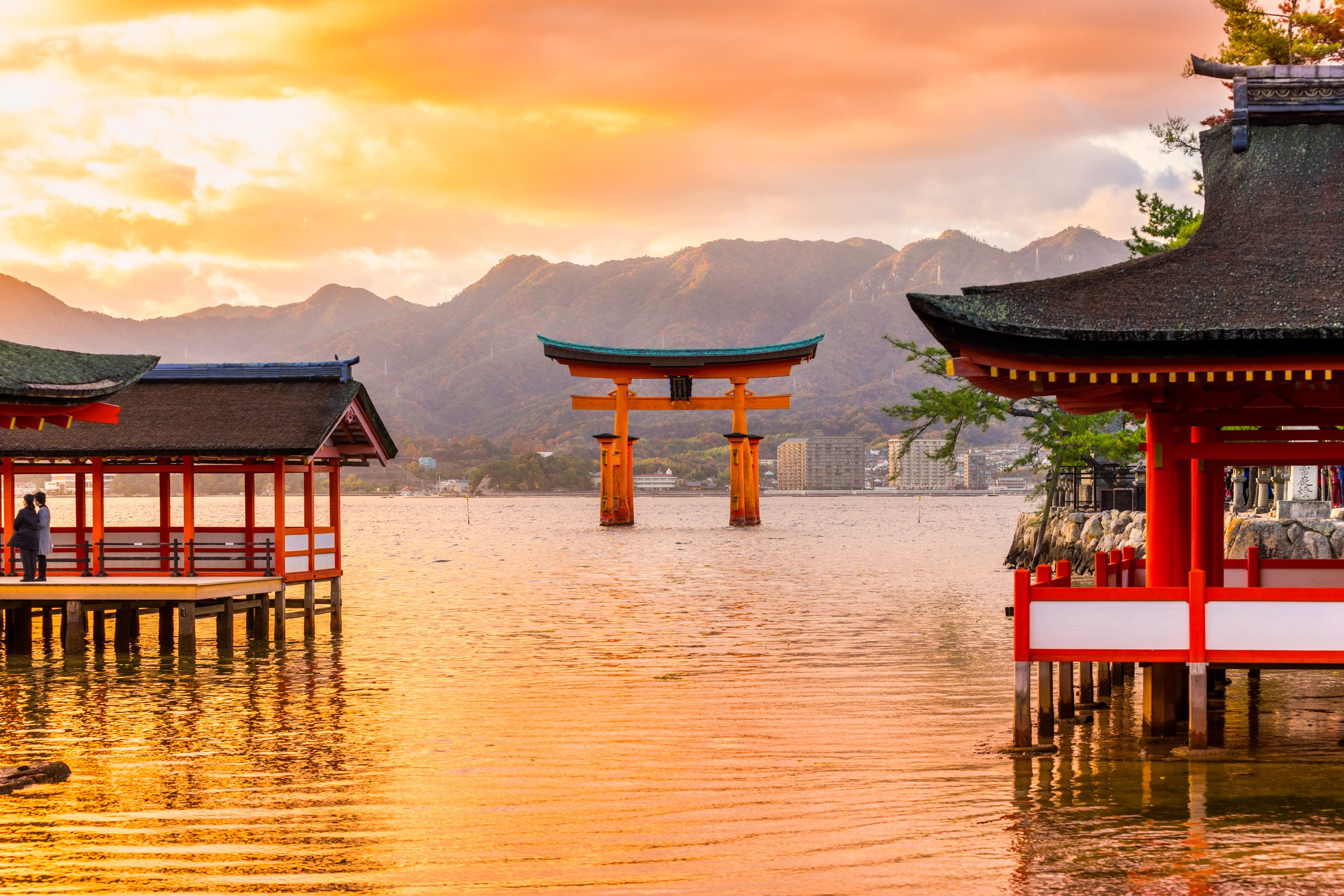Coral Expeditions releases four new Japan and Philippines sailings