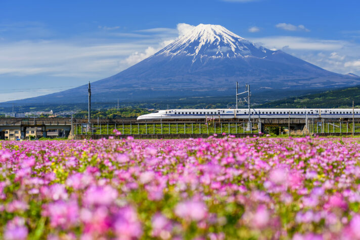 iStock 909110518