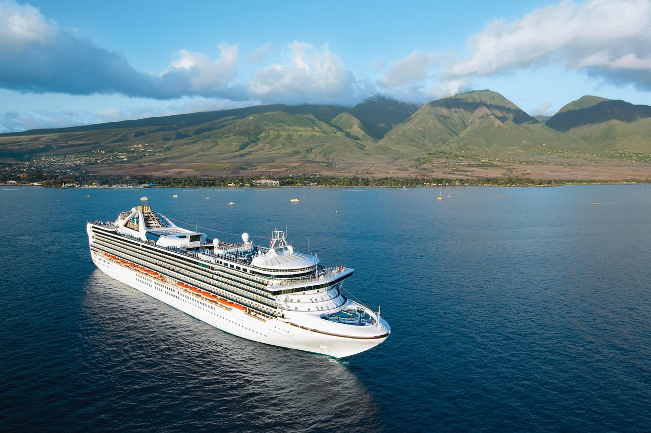 Is New Zealand heading for another season of cruising chaos?