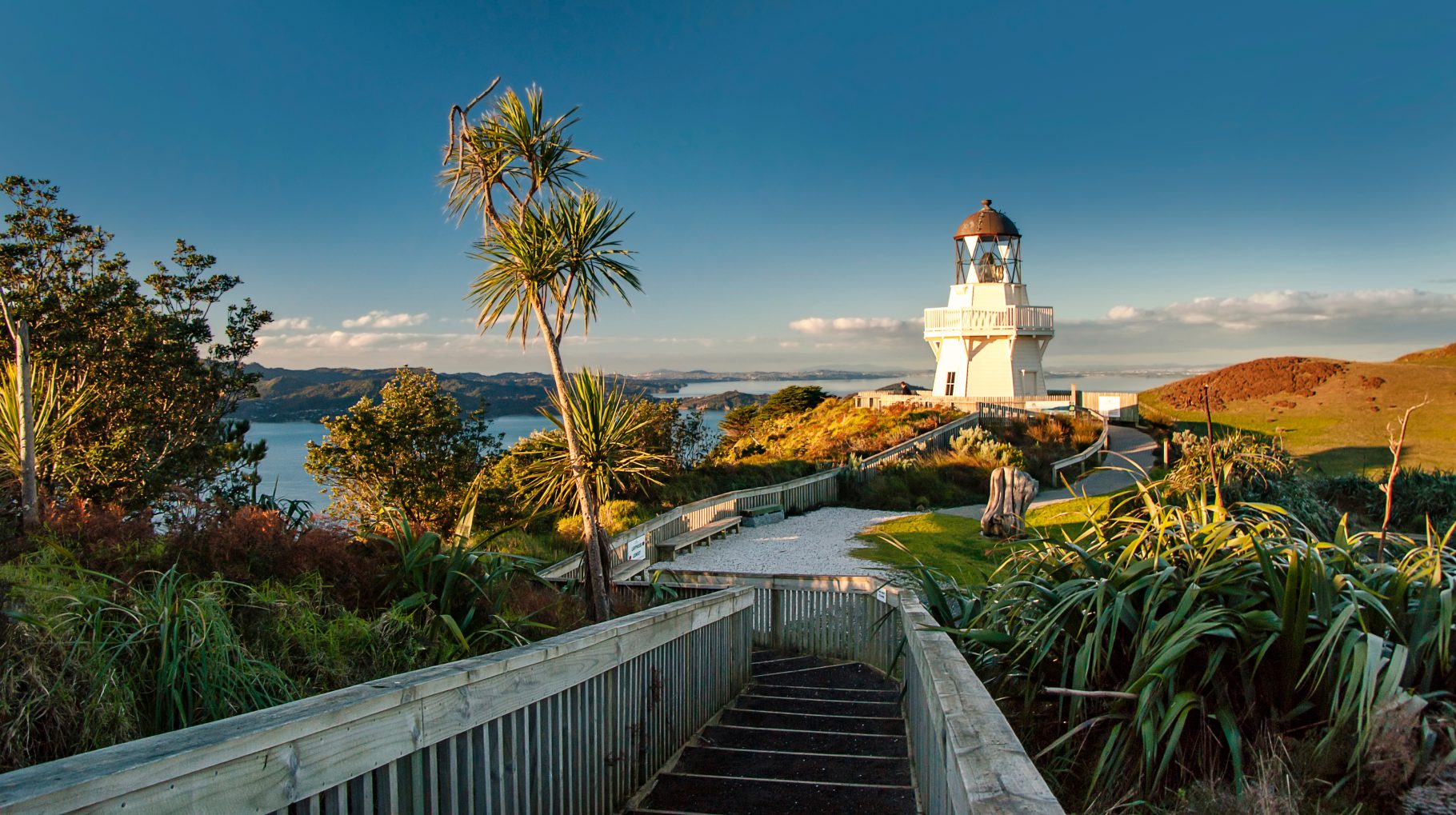shutterstock 1352692988 Auckland
