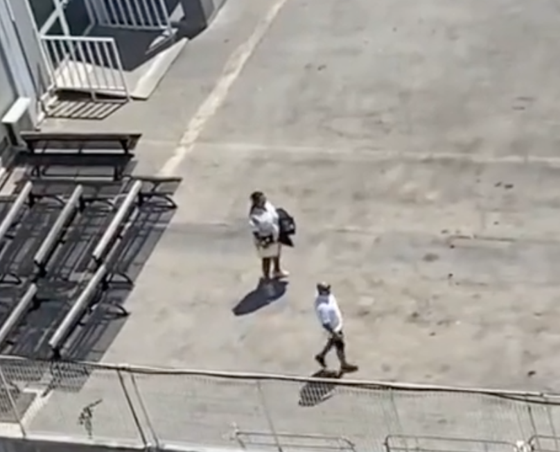 A footage of passengers missing their cruise ship. 