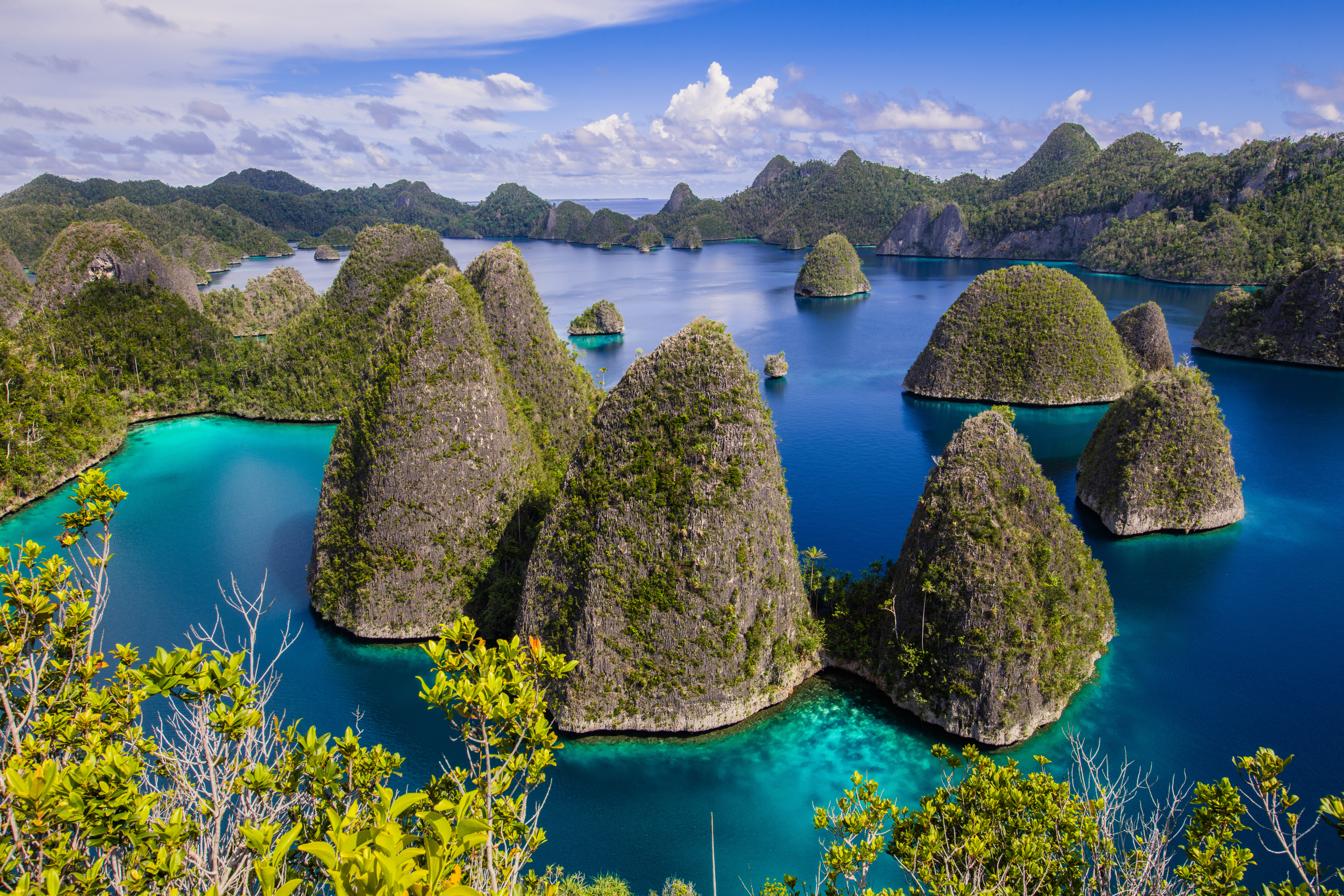 AdobeStock 185580184 2