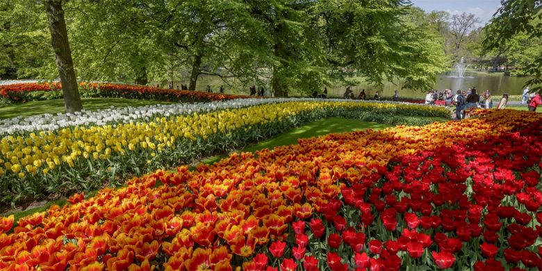 Keukenhof Gardens