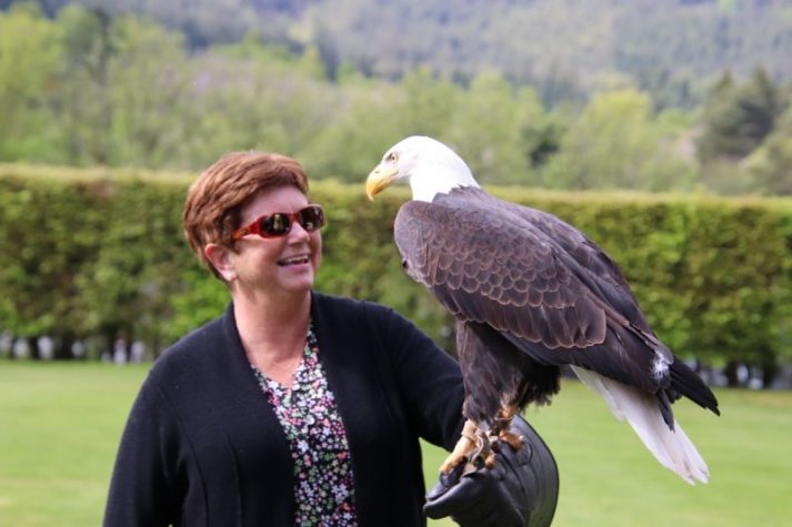 Birds of prey, Avalon Waterways