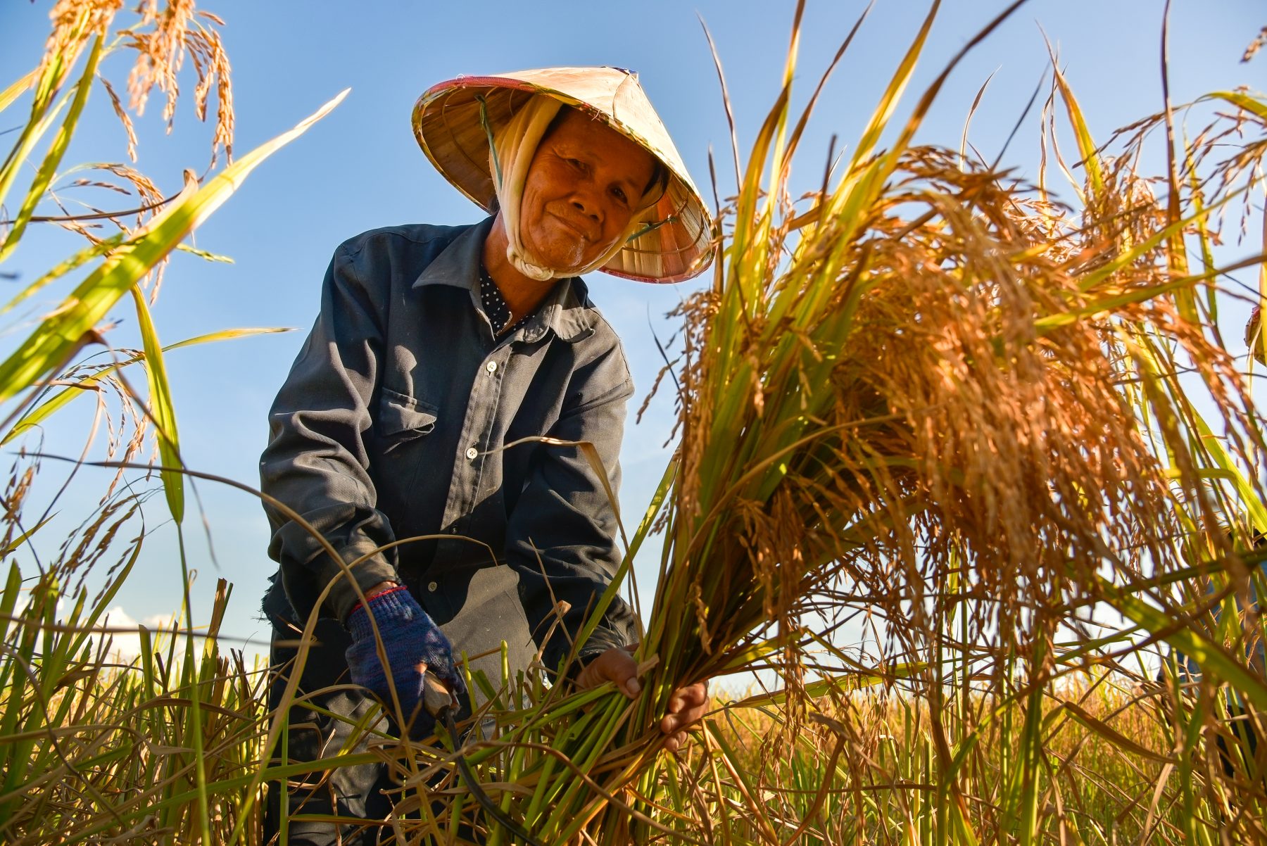 Mekong farmer