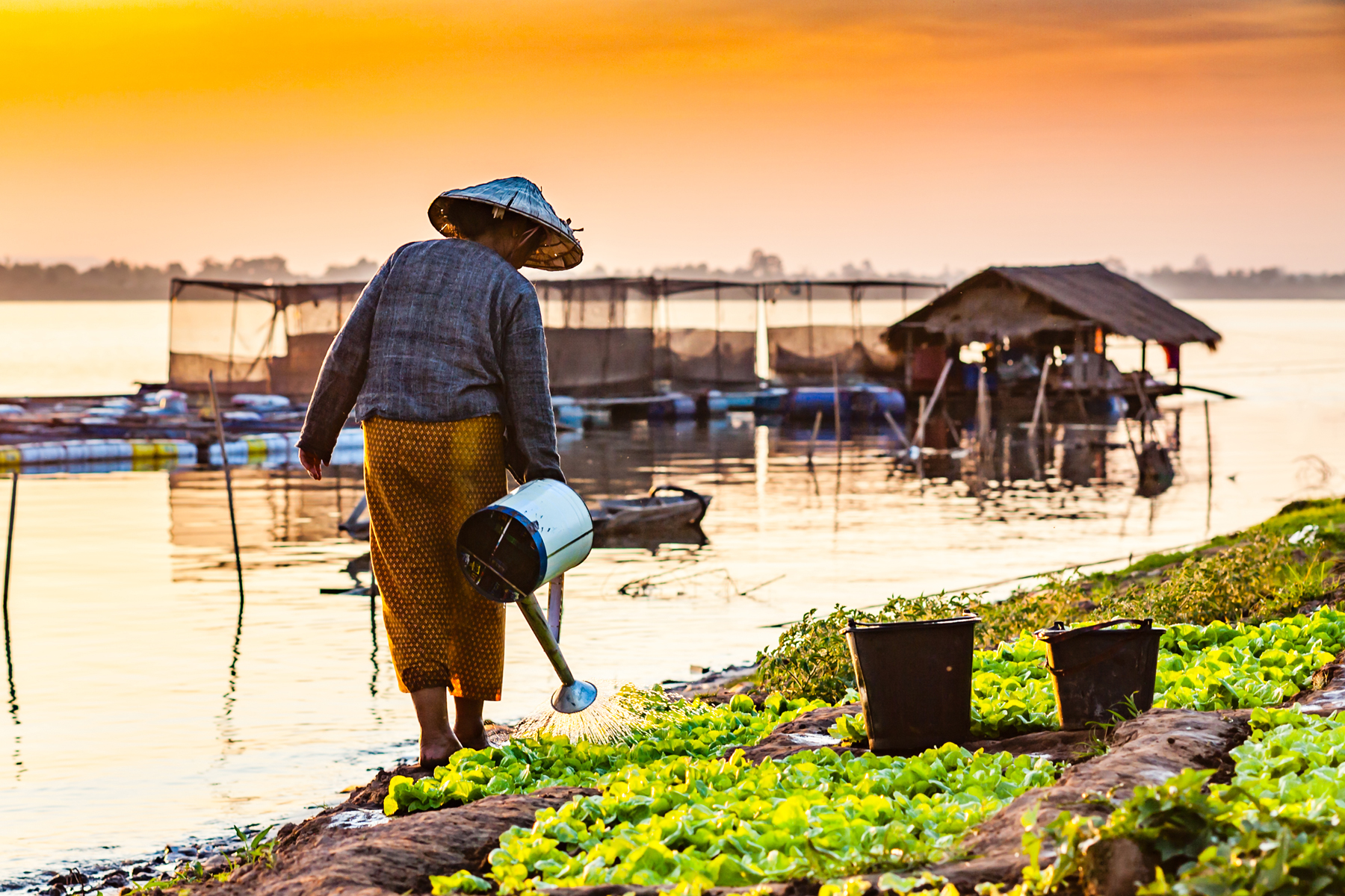 Livelihood on the Mekong