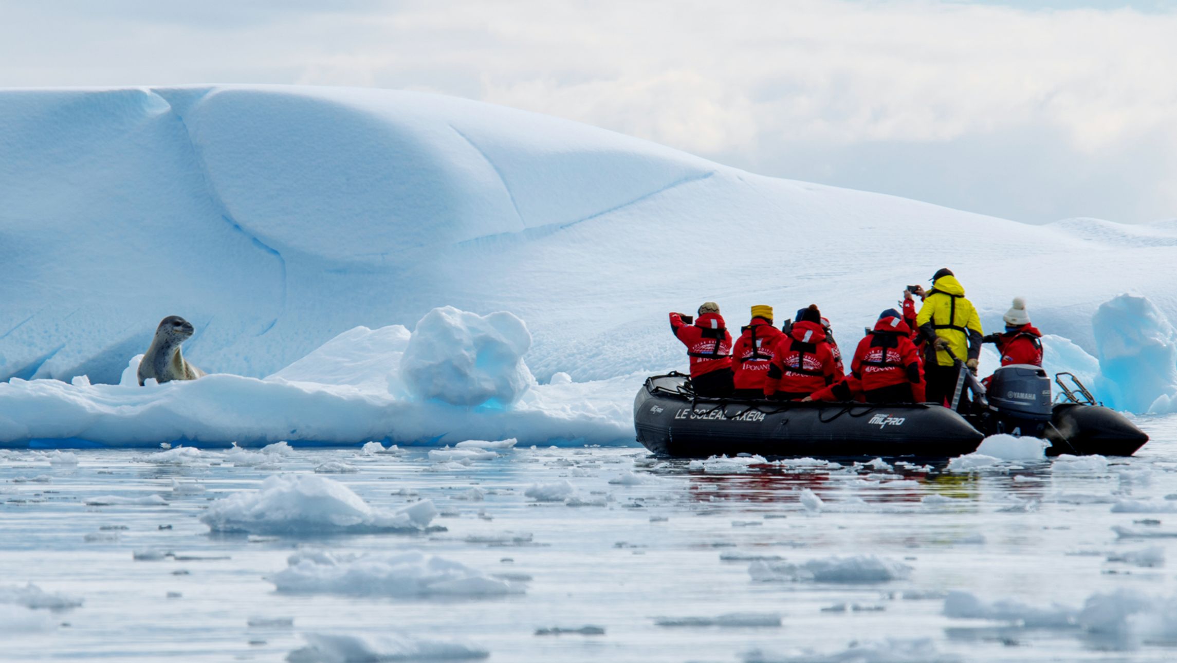Ponant guests with seal