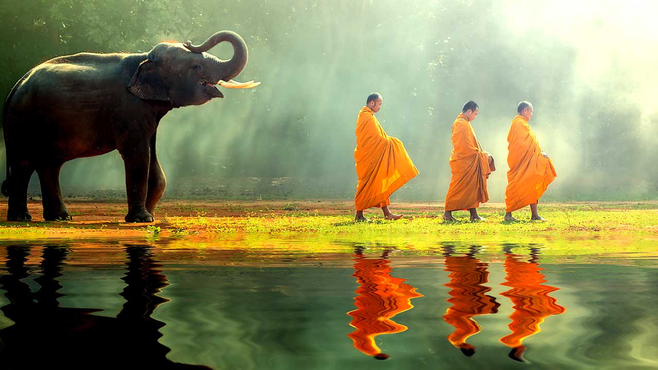 Explore Asia with the elephants and monks in Thailand.