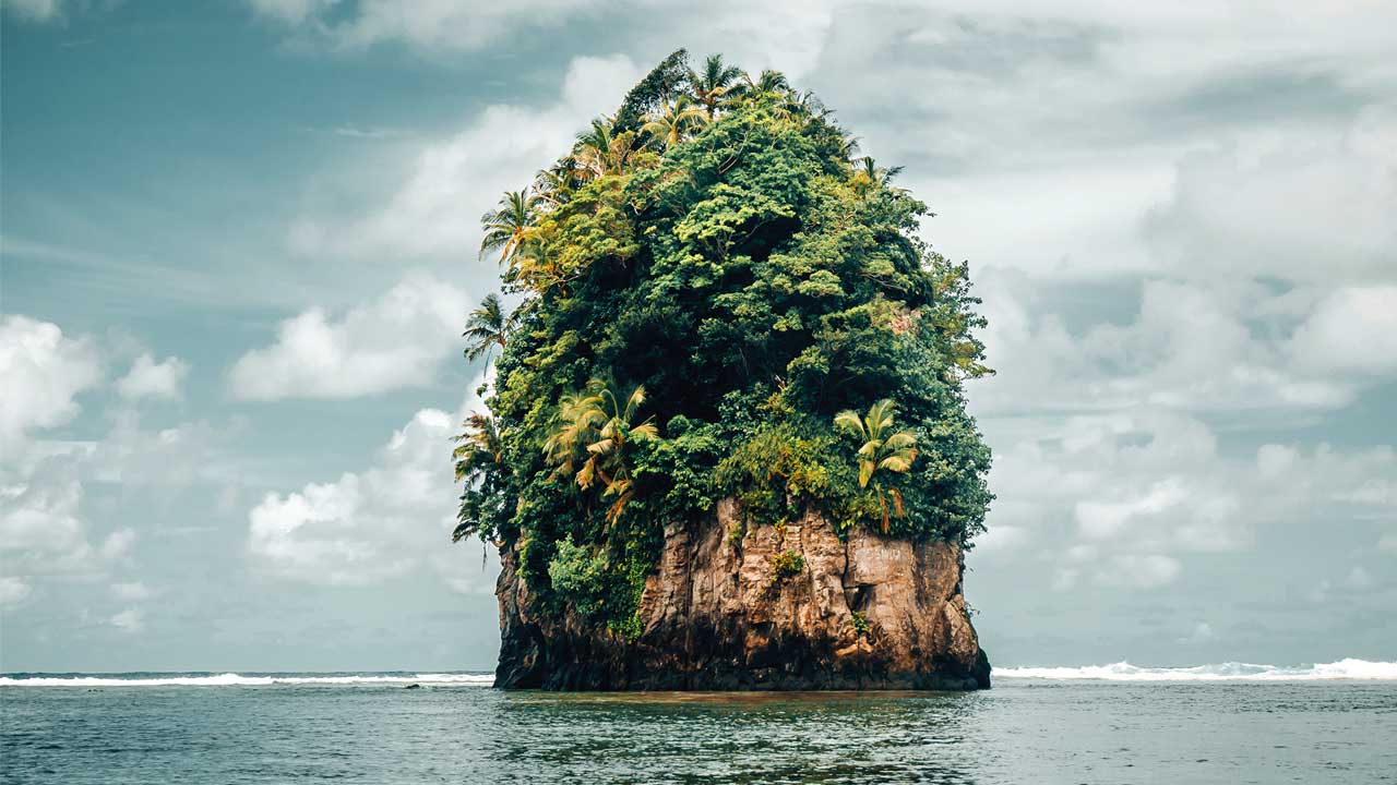 One of the natural gems in cruising The South Pacific is the flower pot rock in Pago Pago