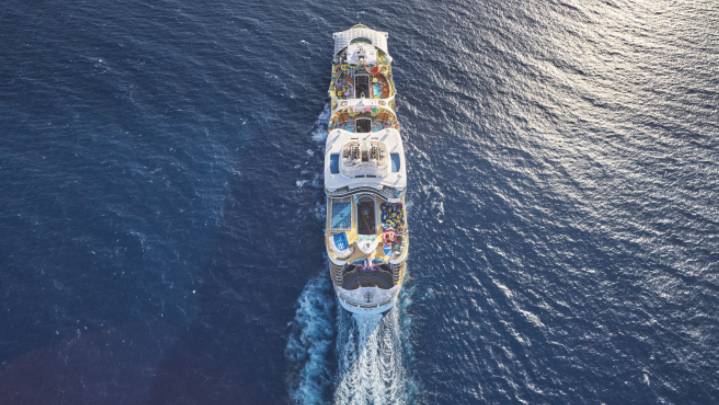 cruise sailing