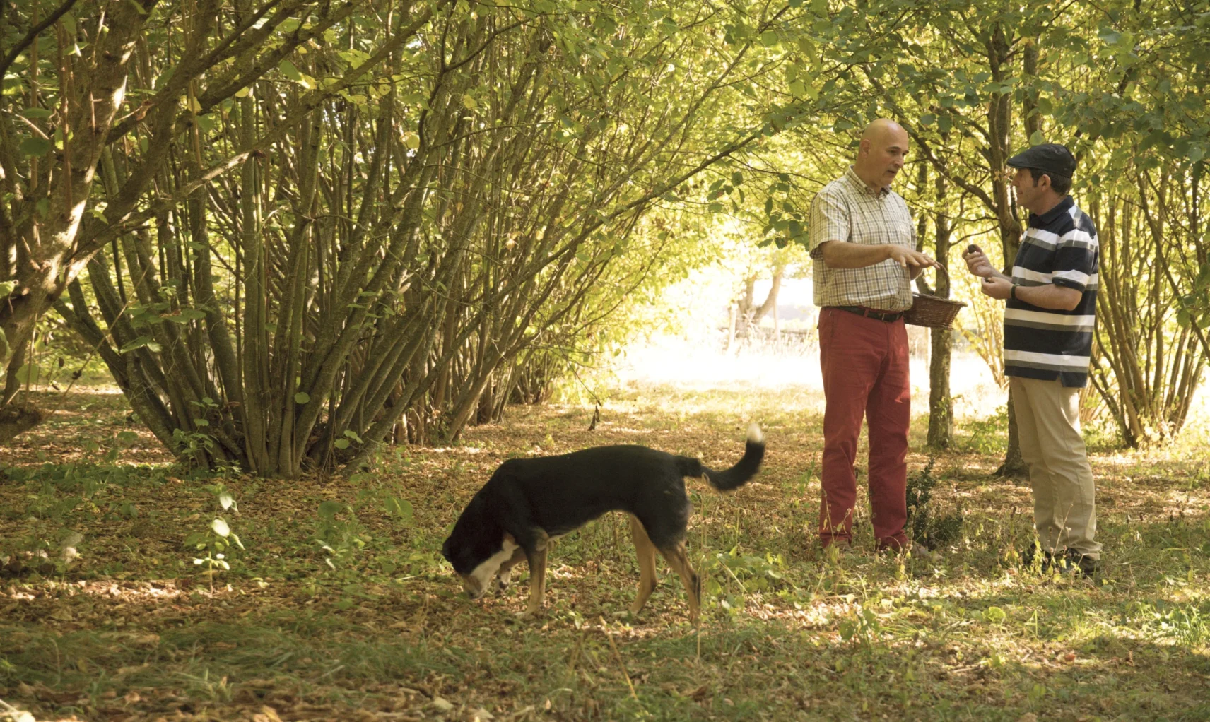Truffle Tasting in France with Scenic