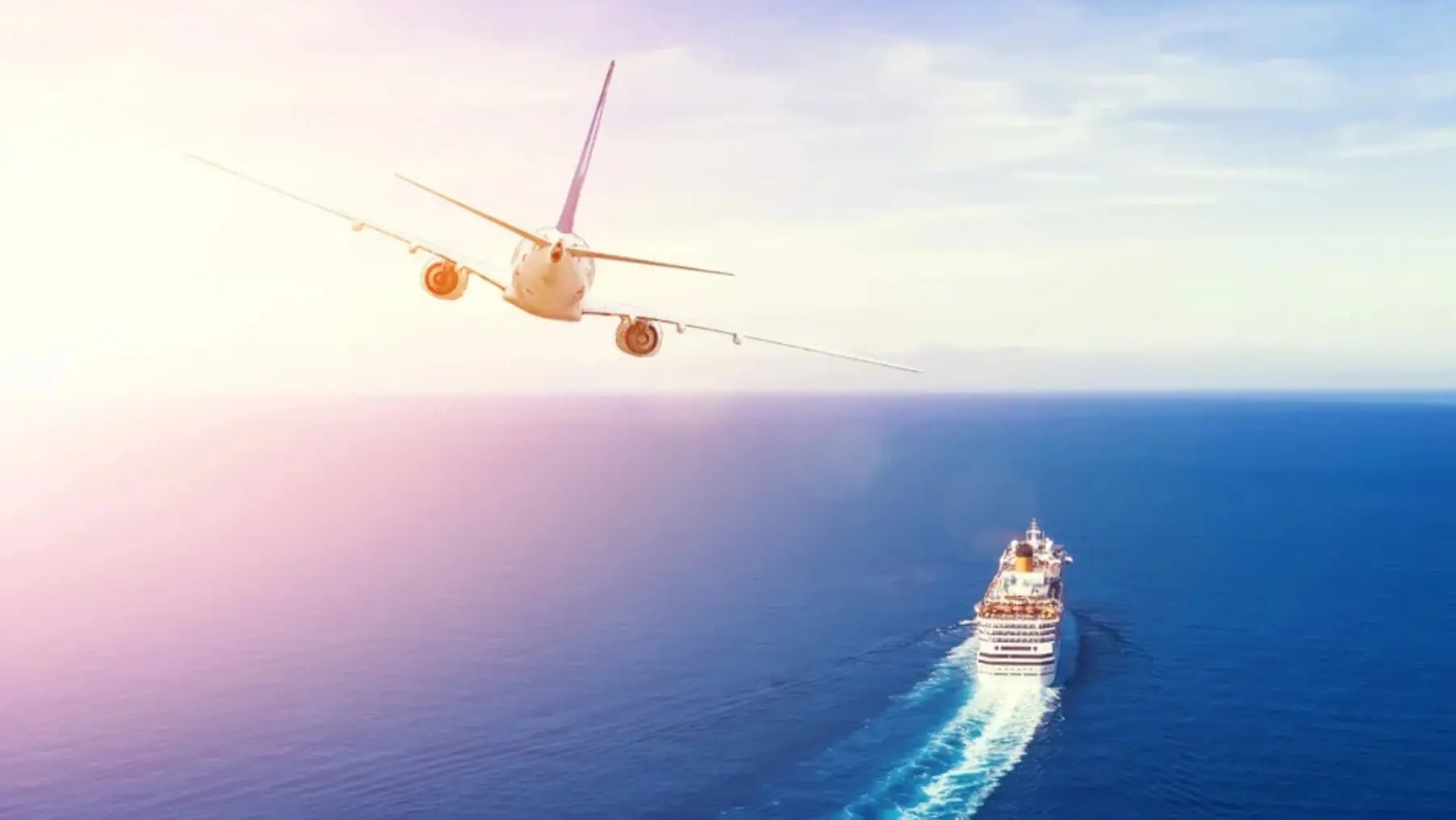 Fly cruising