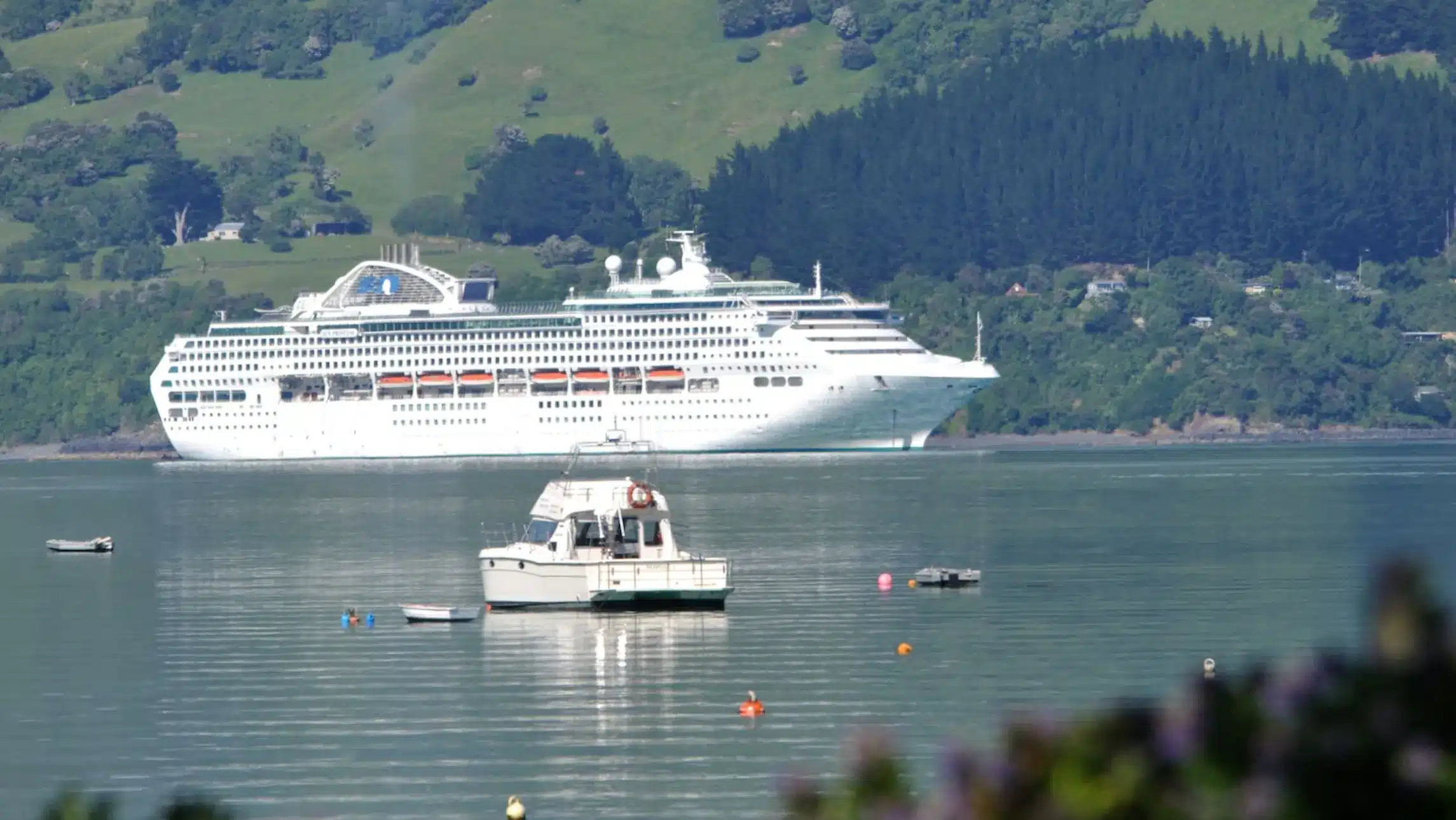 A cruise ship sails across a NZ landscape.